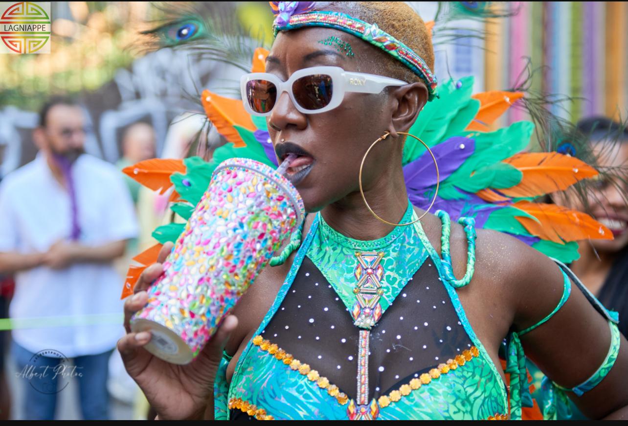 AFCA performers in carnival costumes